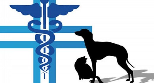 Spese veterinarie